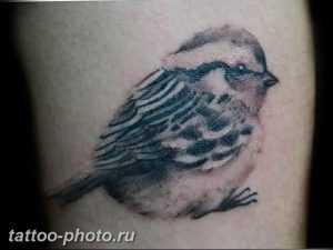 рисунка тату воробей 03.12.2018 №040 - photo tattoo sparrow - tattoo-photo.ru
